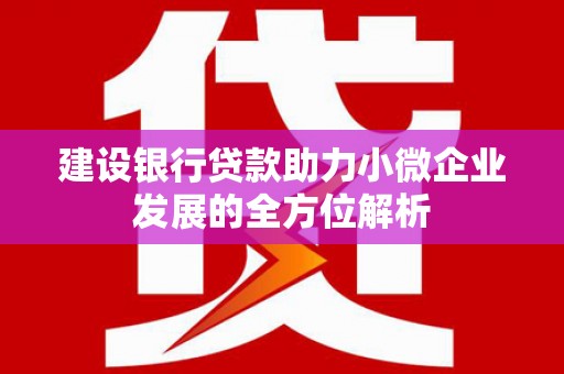 孝昌建设银行贷款助力小微企业发展的全方位解析