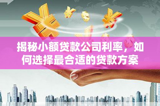 孝昌揭秘小额贷款公司利率，如何选择最合适的贷款方案
