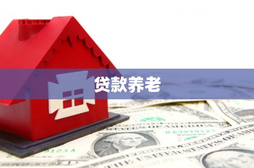 孝昌贷款养老