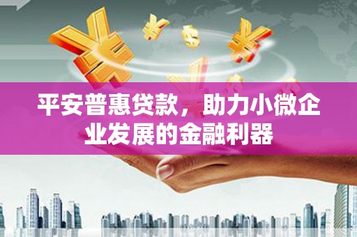 孝昌平安普惠贷款，助力小微企业发展的金融利器