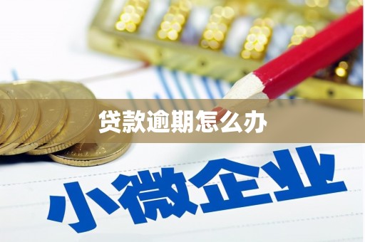 孝昌贷款逾期怎么办