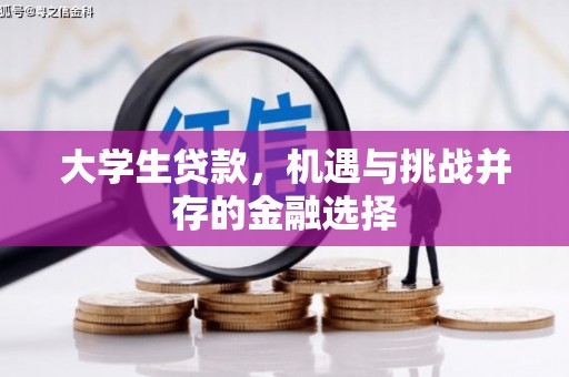 孝昌大学生贷款，机遇与挑战并存的金融选择