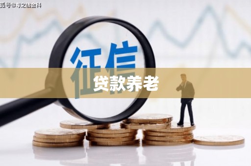 孝昌贷款养老