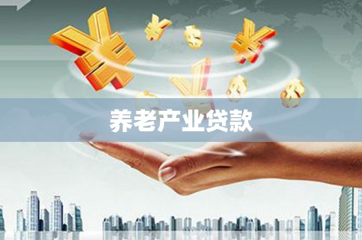 孝昌养老产业贷款