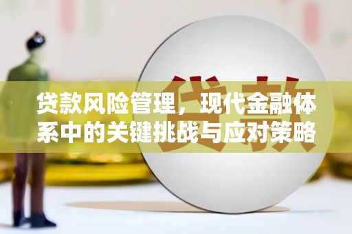 孝昌贷款风险管理，现代金融体系中的关键挑战与应对策略