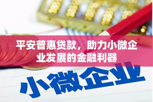 孝昌平安普惠贷款，助力小微企业发展的金融利器