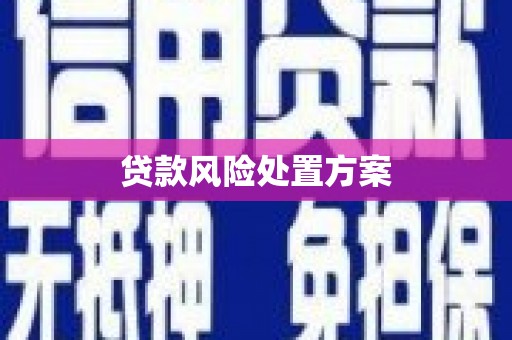 孝昌贷款风险处置方案