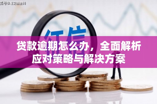 孝昌贷款逾期怎么办，全面解析应对策略与解决方案