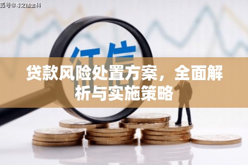 孝昌贷款风险处置方案，全面解析与实施策略